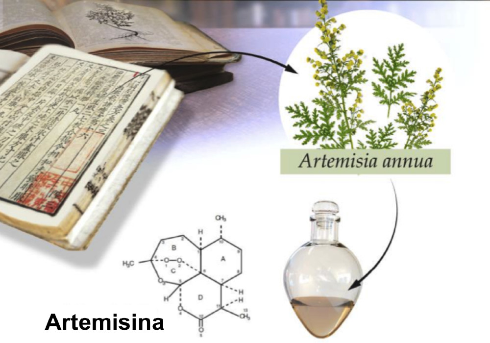 Medicamentos contra la malaria podrían estar vinculados con tratamiento para la diabetes tipo 1