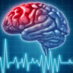 Colesterol – Bueno para el cerebro, malo para el corazón