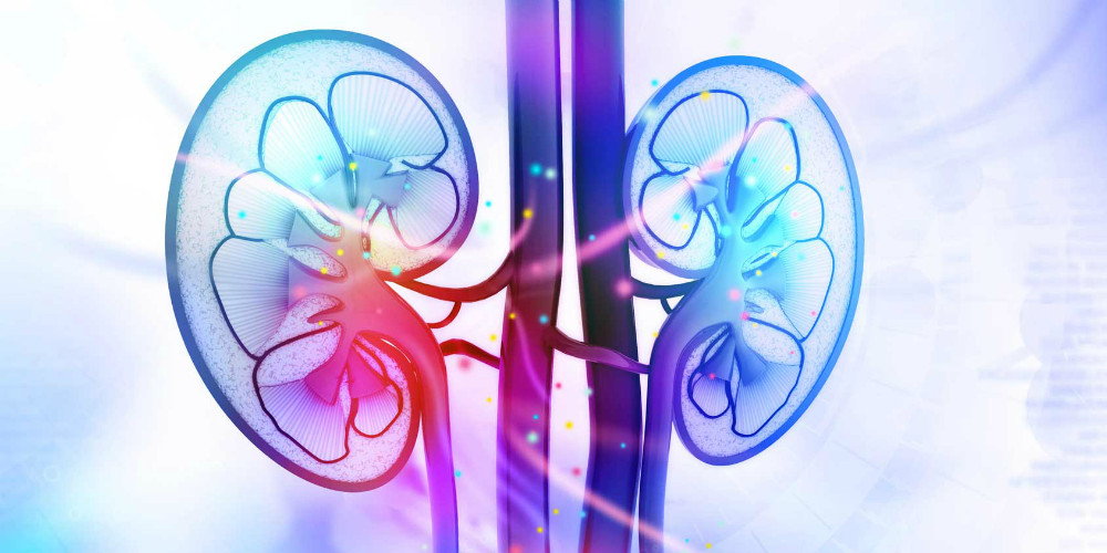 Los diabéticos pueden prevenir e incluso detener la enfermedad renal