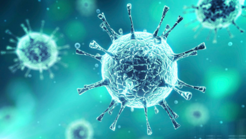 Un enterovirus muestra estar estrechamente ligado al desarrollo de la diabetes tipo 1