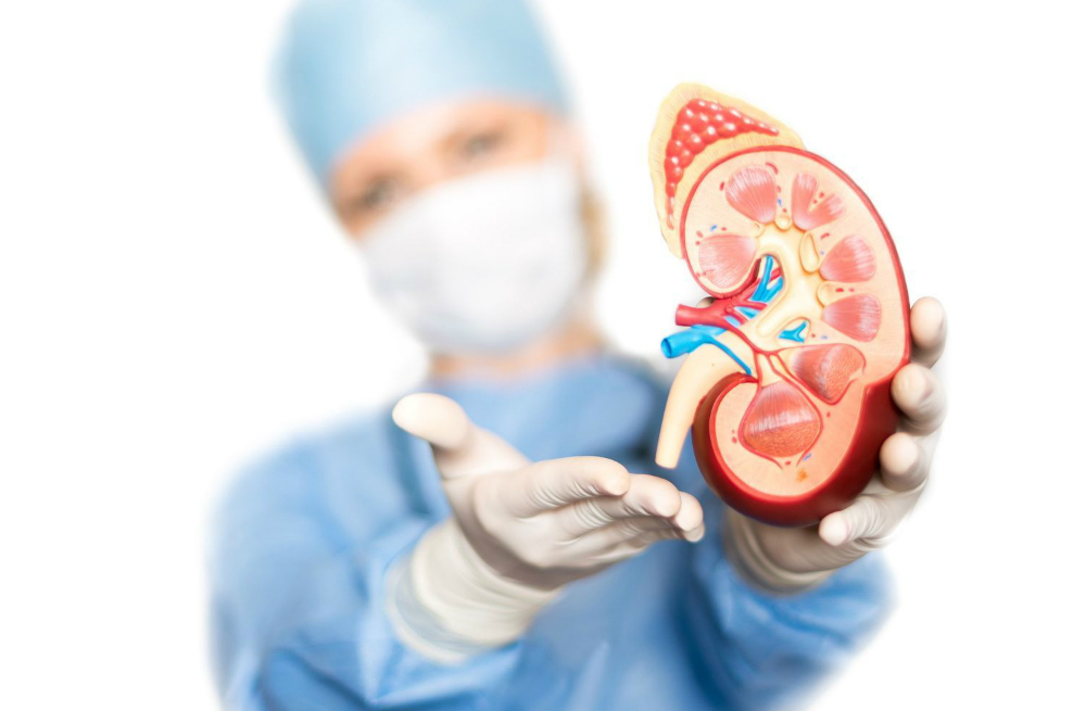 Los pacientes diabéticos con tres principales factores de riesgo experimentan fuerte reducción de la función renal saludable