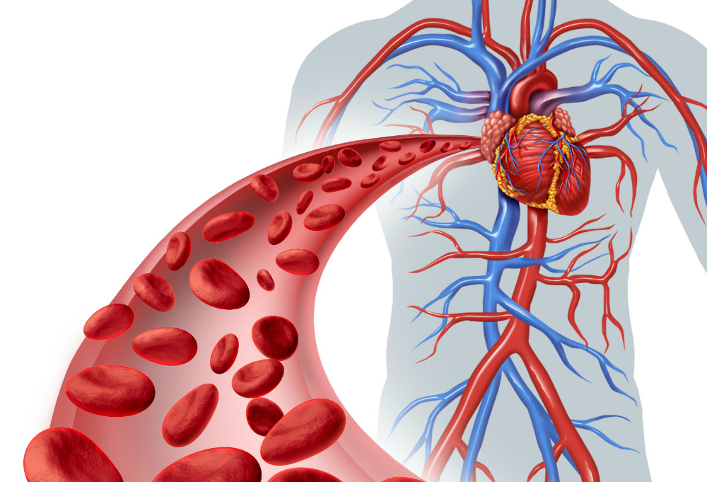 La hipoglucemia en la diabetes tipo 2 podría afectar a la salud del corazón