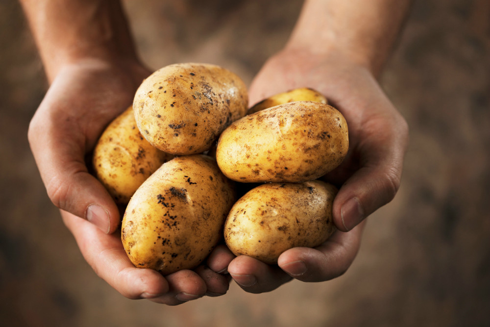 ¿Por qué las patatas elevan la glucosa en la sangre más que el azúcar?