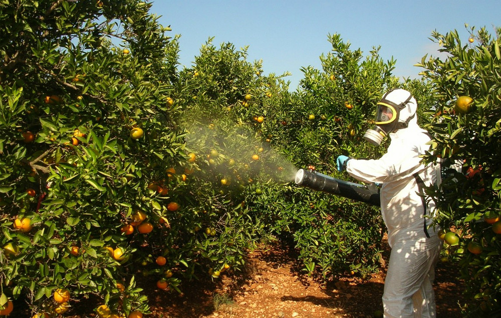 ¡Cuidado! La exposición a los insecticidas pueden colocarlo en un mayor riesgo de ser diabético