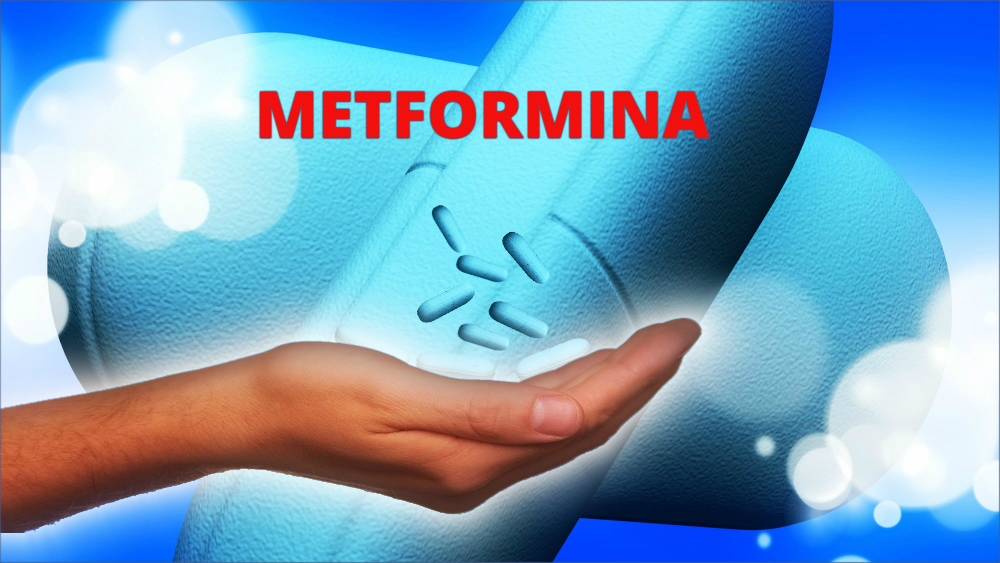 La metformina, el medicamento para la diabetes desarrollado a partir de la lila francesa