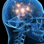 Medicamento para la diabetes puede reconstruir cerebros