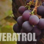 El resveratrol puede reducir la rigidez arterial en pacientes con diabetes