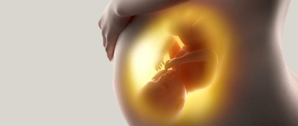 Bajos niveles de Vitamina B12 durante el embarazo pueden aumentar el riesgo del bebé de desarrollar diabetes