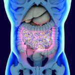 Medicamento Valedia podría prevenir la diabetes cuidando del microbioma intestinal