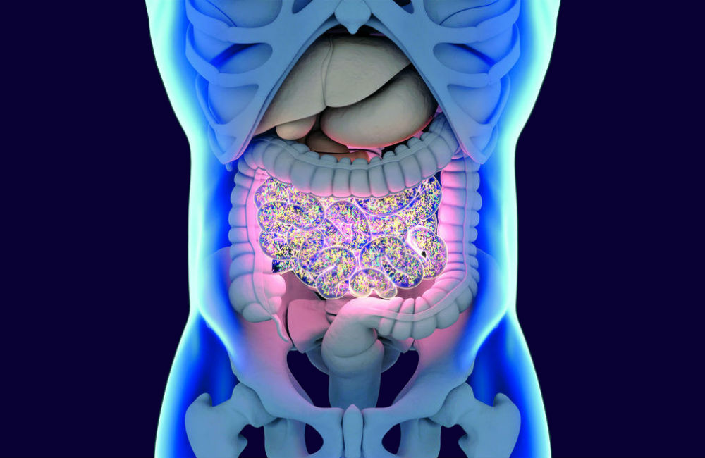 Medicamento Valedia podría prevenir la diabetes cuidando del microbioma intestinal